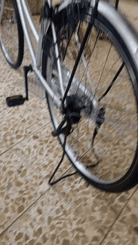 السلام عليكم
بايسكل عبد الحليم 
حجم:26
موديل:2019
نضافه:85٪
السعر:90 وبي مجال شي قليل 
التواصل على الرقم 
الرقم:***********
الرقم بي واتساب اذا مو شراي لا تراسل 
للبيع فقط مااراوس
