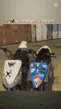 للبيع البيضه  بوشه 49 دراجه كامله كفراات دبلات شغاله  شغاله كل وكت دكت هندر كامله من كلشي شلعه معدل سعر 450وبيه مجالل بيع او مراوس البصره ابو الخصيب  موجود  وساب ***********
