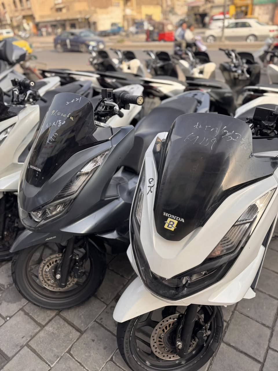 الجيل الرابع الضمان الضمان 
 شارع الفلاح قطاع ٣٠
السعر  آخو البلاش 
١٨$


**إذا كنت صاحب هذا الإعلان وتريد حذفه لأي سبب، رجاءا أرسل رسالة إلى الدعم الفني**