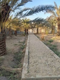 أبو الخصيب محيله • ١٠٧٥متر • طابو زراعي