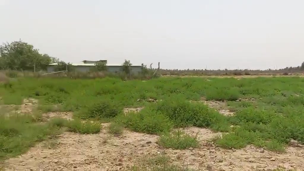دونم طابو زراعي سند 25 تحويل اسهم
تفاصيل دونم بالفيديو 
مراوس بيت 
موقع كربلاء منطقه الجذار 
سعر دونم 85
***********
***********
