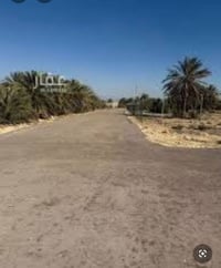 ارض زراعية • ٥٠ دونم • سندين ٢٥