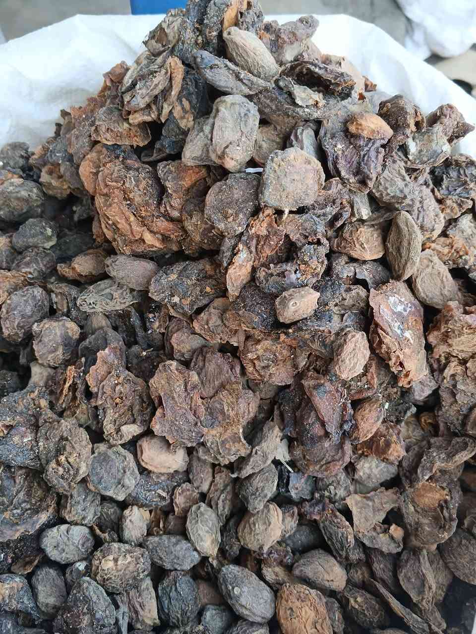 وصل اليوم نكوع عراقي درجه اولا سعر الكيلو 4الف


**إذا كنت صاحب هذا الإعلان وتريد حذفه لأي سبب، رجاءا أرسل رسالة إلى الدعم الفني**