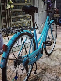 باسكل ياباني • موديل 2022 • نجف المشخاب