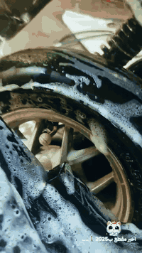 ماكس عدله • ويل كروم اصلي • بغداد الحريه