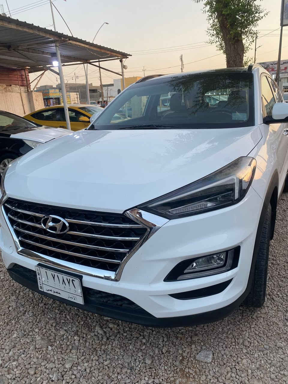 2019 مكفولة عدا بارد اصبعين بباب السايق

0781 752 3222
ابو محمد
