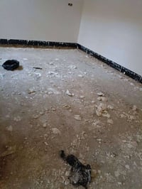 ٢٤ ساعة • تنظيف فلل وعمائر • محاليل إيطالية