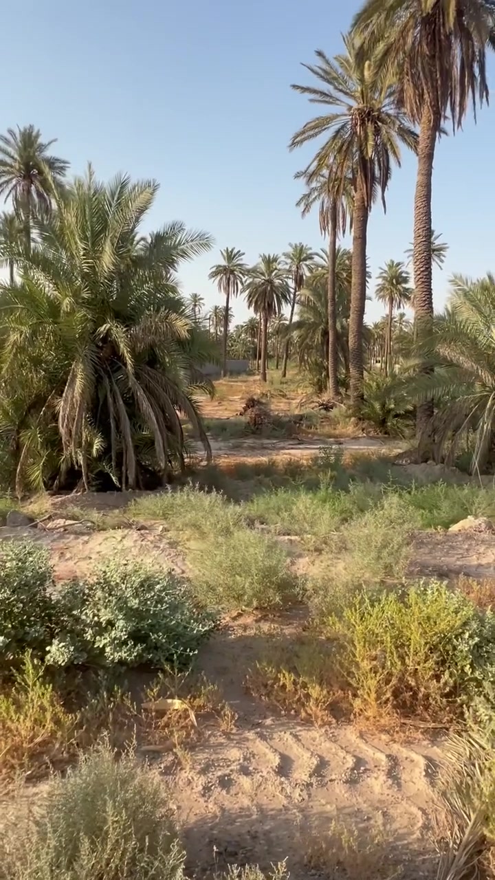 السلام عليكم دونم للبيع طابو ملك صرف لوجه 17 ونزال 147  العنوان بغداد المدائن منطقه الجعارة لوجه عل سده شاطيه مقابيل لدونم لك باقي تفاصيل خاص او واتساب *********** مكتب الجبوري للعقار
