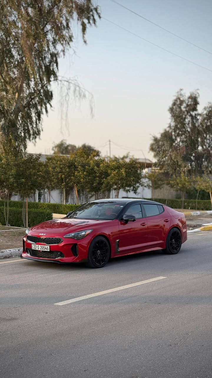 كيا ستنكر للبيع موديل ٢٣
رقم اربيل باسمي ترقيم جديد
   GT2 فول مواصفات 
فور ويل محرك 6 سلندر تون توربو
حادث ثلاث قطع بدون شاصي بدون لغد
ايرباك ستيرن ودشبول فقط 
وراجع سستم 
داخل احمر
كاملة بدون نواقص 
تفاصيل اكثر راسلني خاص او على الوتساب ***********
بدون مراوس 
السعر 200
ماشية 18 الف كيلو 
مكانها بغداد الكرخ
