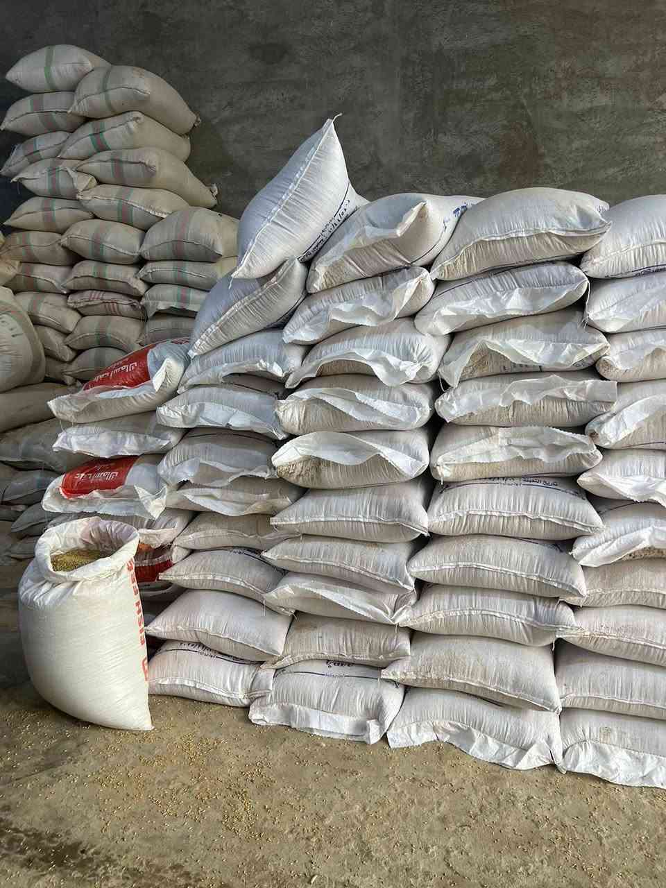 وصول شعير روسي علفي إلى مكتب اعلاف الدجيل شعير درجه اولى العنوان الدجيل الشارع العام قرب مدخل عواره للإستفسار الاتصال على الرقم ***********
