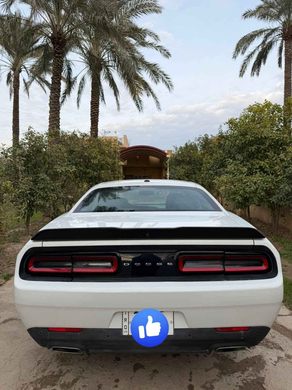 السلام عليكم
جالنجر للبيع GT 
موديل 23 
ماشيه 39 
سياره جديده 
بأسمي رقم بغداد


**إذا كنت صاحب هذا الإعلان وتريد حذفه لأي سبب، رجاءا أرسل رسالة إلى الدعم الفني**