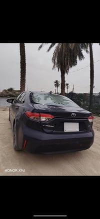 كرولاه • ٢٠٢٣ • البصرة