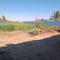 ارض مساحتها دونم مع بيت عدد اثنين كهرباء مي خدمات متوفره مكان بغداد تا...