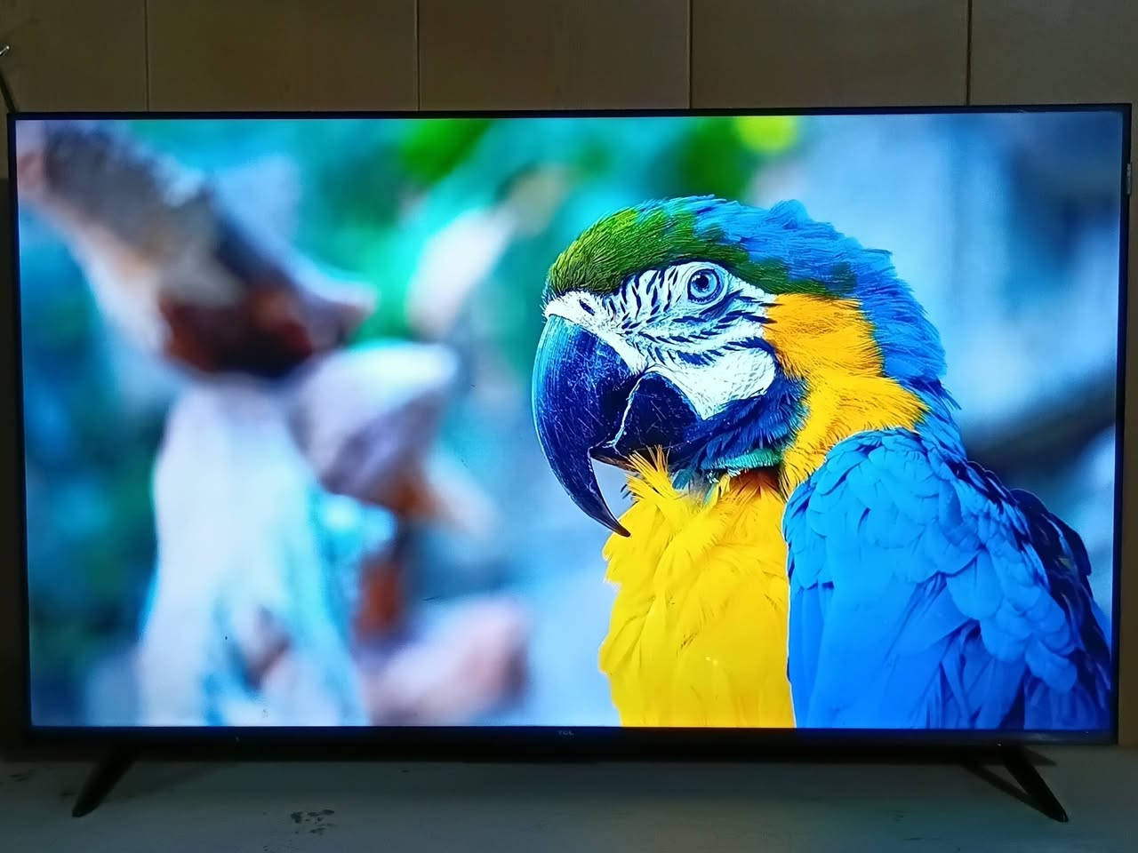 شاشه TCL  حجم 50 مستعمله شهرين فقط نظيفه جدآ وضمان بيها
السعر 350 الف 
مع برامج كرة قدم أفلام ومسلسلات كامله 
أتصال ***********
أو مراسله على خاص
