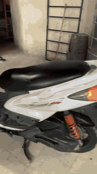 سكنس فحل للبيع كامل مكمل دراجه نظيفه ومكينه ناعمه المكان البلديات رقمي...