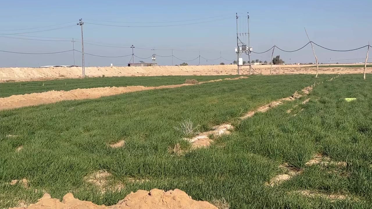 ((🧿اللهم صلي على  محمدوآل محمد🧿)) 

✅♦️♦️#ارض عقد زراعي 35  مجدد     :#للبيع 👉👉

✅♦️♦️المســــاحة _ 200 دونم على شارعين تبليط او ترابي 

✅♦️♦️العنــــوان بحر النجف قرب شركه النفط 

✅♦️♦️التفاصيل لارض بيه مرشه 80 دونم محوله كهرباء 

خاصه في الارض بير عدد 2 

♦️♦️♦️للاستفسار  مراجعه المكتب قرب بلديه الحيره او اتصال ☎️ 

*********** ☎️***********♦️♦️✅
