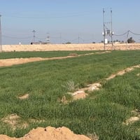 عقد زراعي • ٢٠٠ دونم • بحر النجف