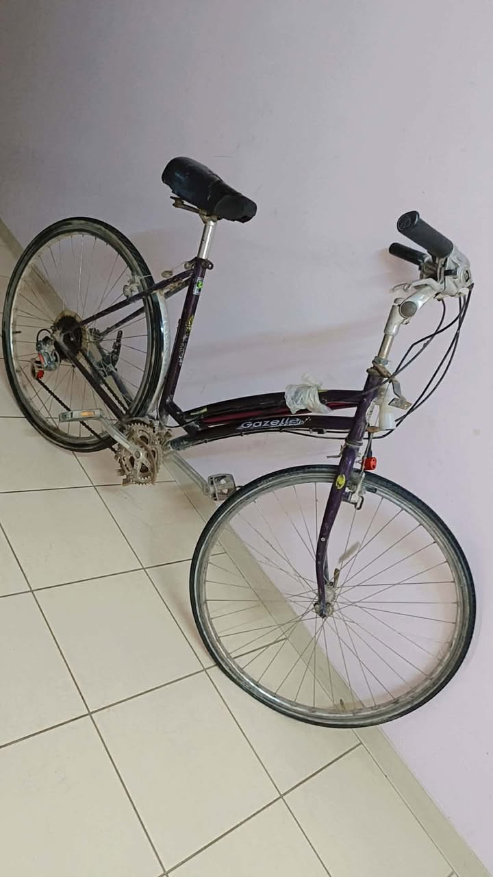 بايسكل اي خلل ما بي  حجم كبير  
ب ٦٠ الف وبي مجال 
للاستفسار مراسله خاص


**إذا كنت صاحب هذا الإعلان وتريد حذفه لأي سبب، رجاءا أرسل رسالة إلى الدعم الفني**