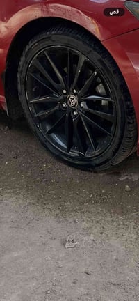 تخم ويل كب 19البيع اصلي 07702069021