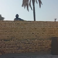 خلفه بناء مناسب اخذ كباله ؤبل يؤميهة وعلى دبل والي ماعنده امكانيه اساه...