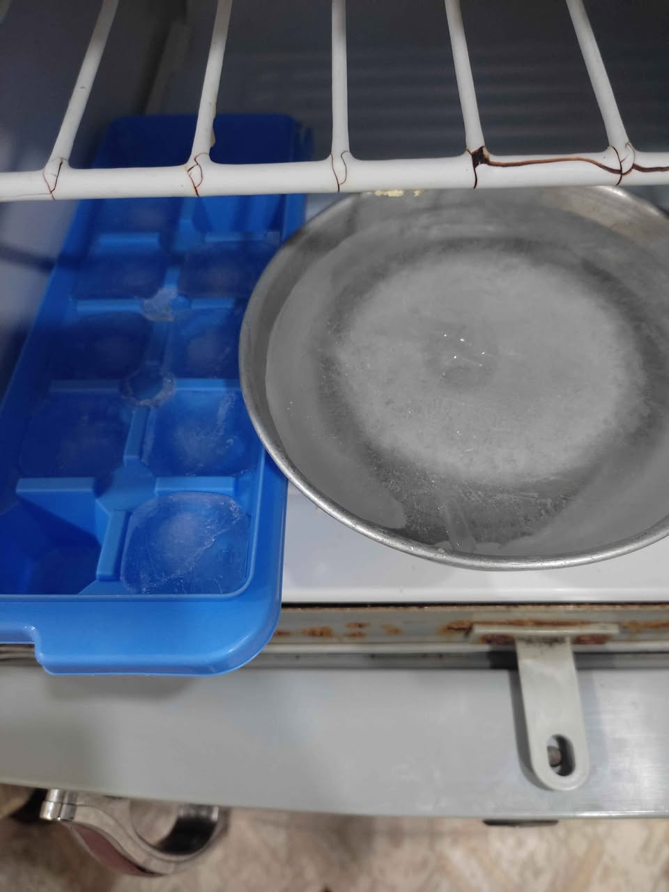 ثلاجه نظيفه نوع ناشونال حجم وسط شرط التبريد والتجميد السعر 125 وبيها مجال العنوان المطيحه السنيديه البصرة, العراق


**إذا كنت صاحب هذا الإعلان وتريد حذفه لأي سبب، رجاءا أرسل رسالة إلى الدعم الفني**