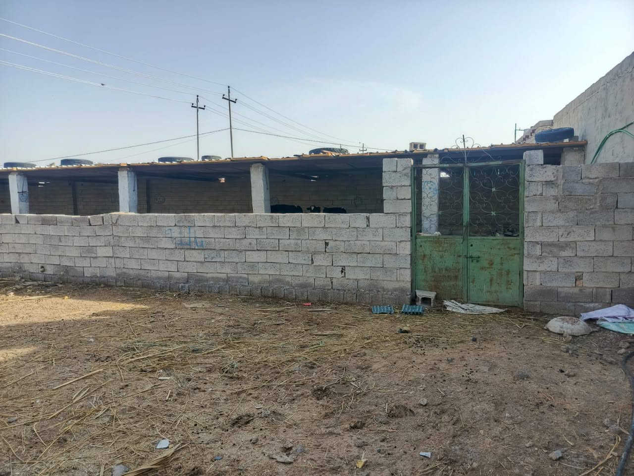 السلام عليكم حقل للبيع مكان واسط شيخ سعد ***********/بلغرب من معمل حجي ناصر  بيع مستعجل الطول 33ونص ولعرض 25متر متوفر ماء كهرباء سحب وبصفة 200متر
