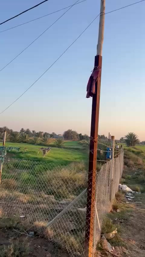 ارض زراعي للبيع دونمين وربع مسيجه بي ارسي وماء وكهرباء اساله وسكي من سعيدان على شارع تلبيط كافه الخدمات اتصال ***********
