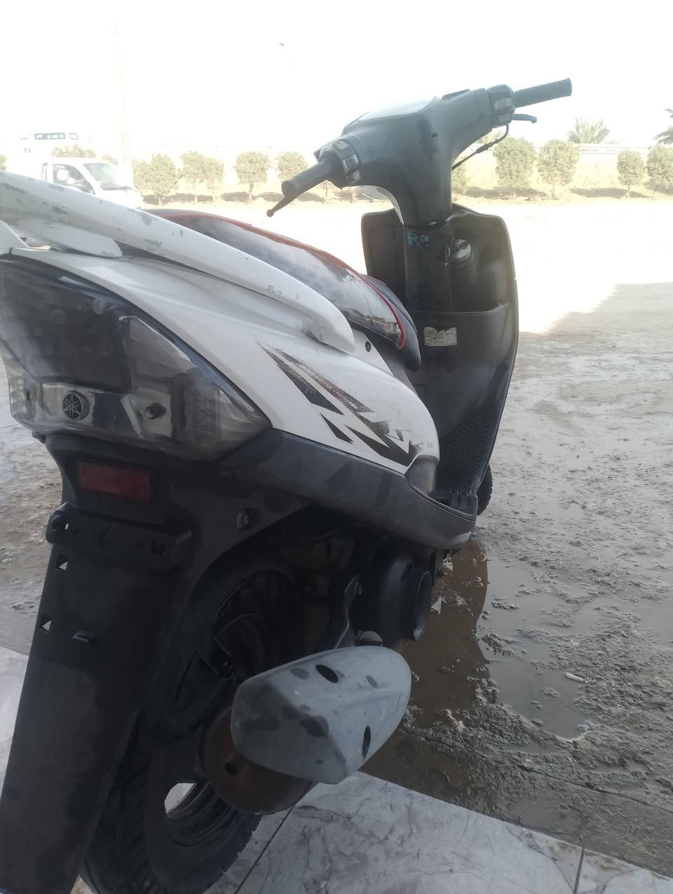 عدله بلاديه أقل شهر من نازله كفاله عامه بلاديه ختم واحد
حله  مركز

***********
