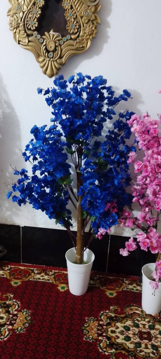 شجرالوحده رتفاعه مترين وعشرين الوردكثافه بيه سعر25ارخص من بغداد شرط ولي واسط 15تصفيت محل ***********
