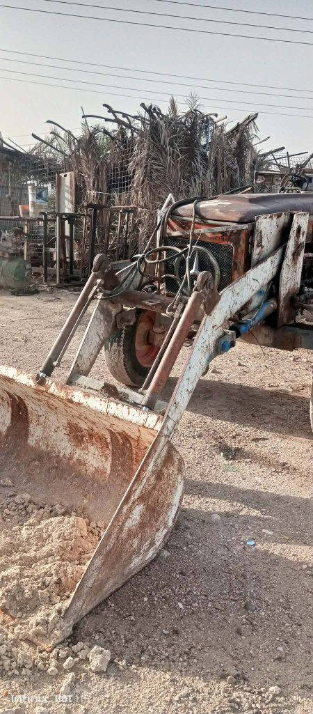 كيله عنتر للبيع

***********
