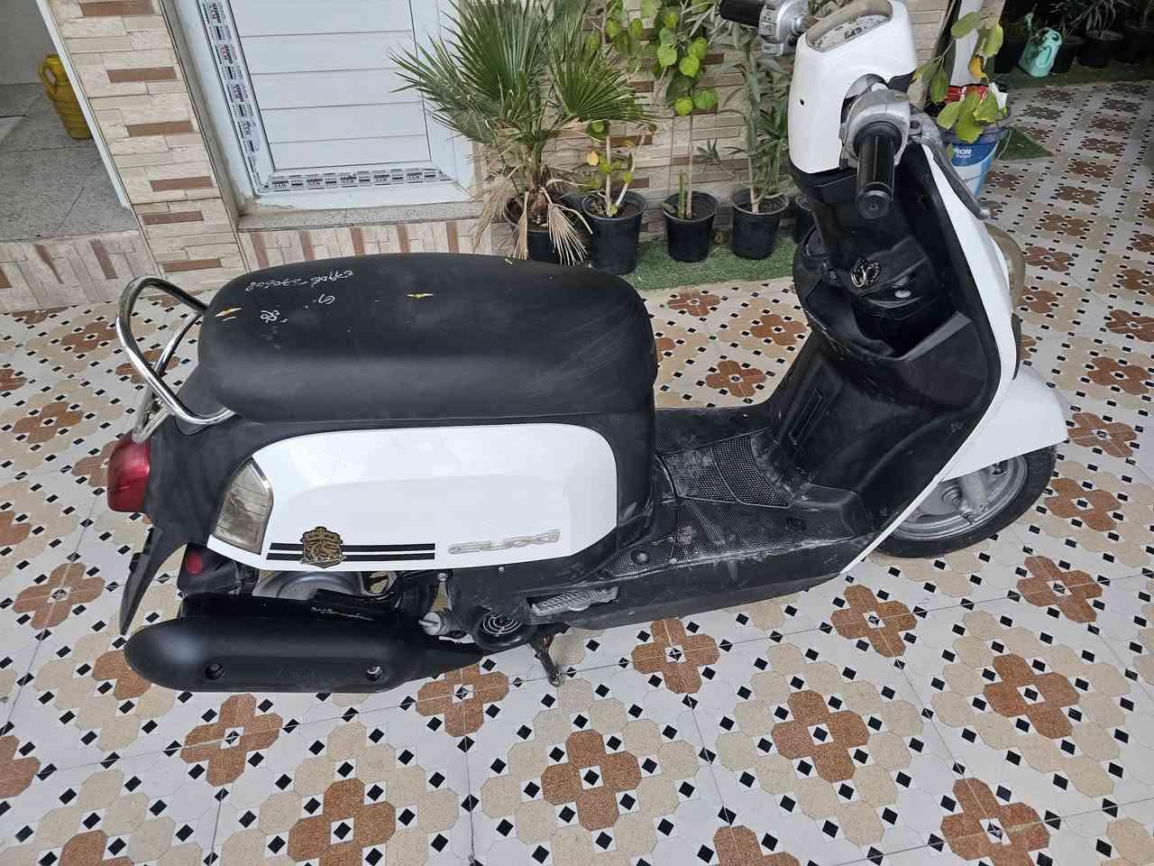 سلام عليكم دراجه البيع مكفوله كفاله عامه وما مفتوح بيه برغي وكله شغاله سعر ٦٥٠ شراي يتصل ***********
