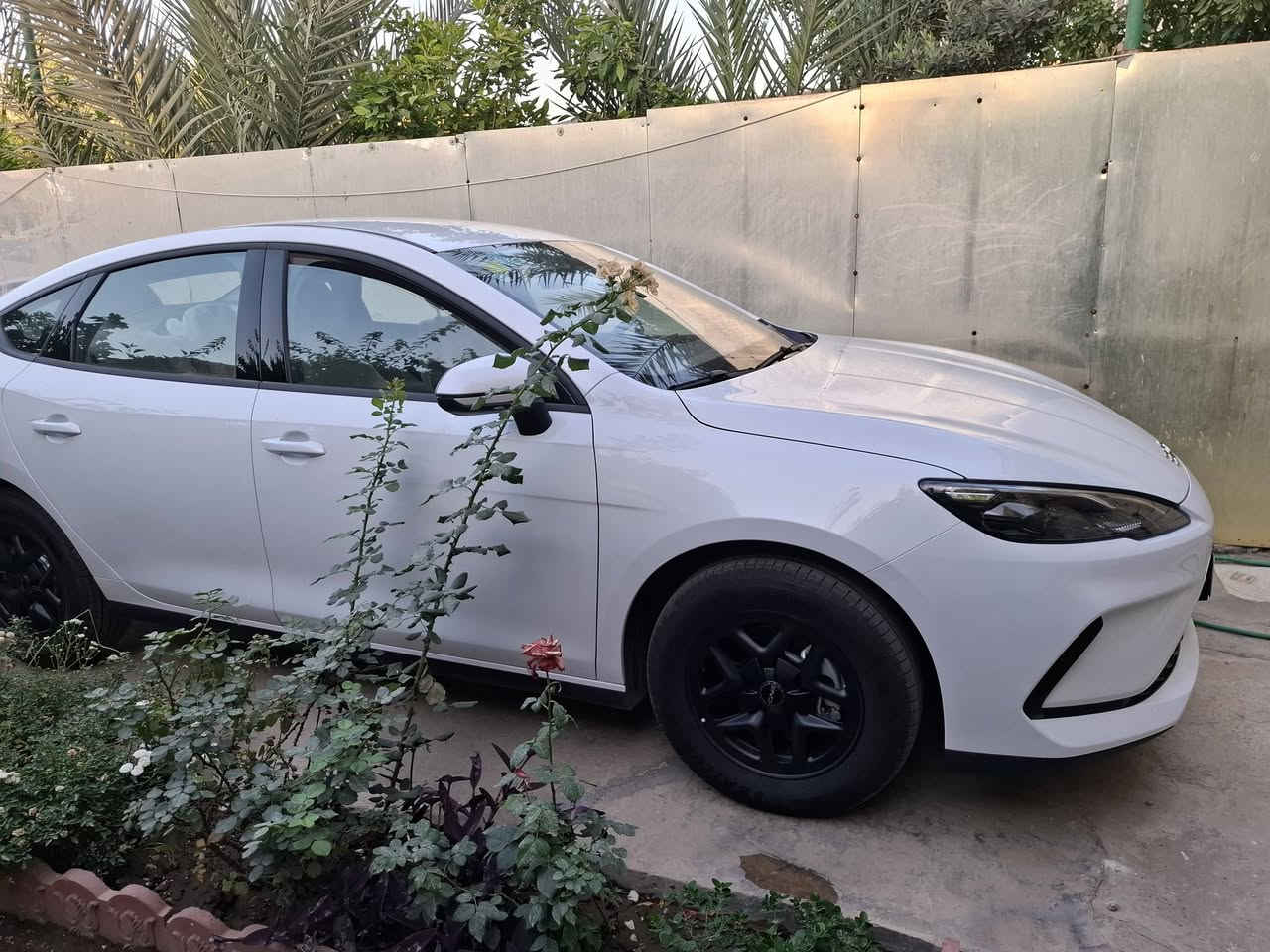 سيل5 زيرو مرقمة بغداد ■■■■■■■■■■■■
للبيع سيل5 زيرو ماشية ١٤٠ كم فقط 

مرقمة بغداد هزة وسنوية جديدة للي يريد يخلص من دوخة الترقيم السنوية باسمي تحويل مباشر ثاني يوم 

بصمة وكارت وشاحنة مع كامل الملحقات 

للاستفسار *********** بي واتساب 

مكاني بغداد رصافة
