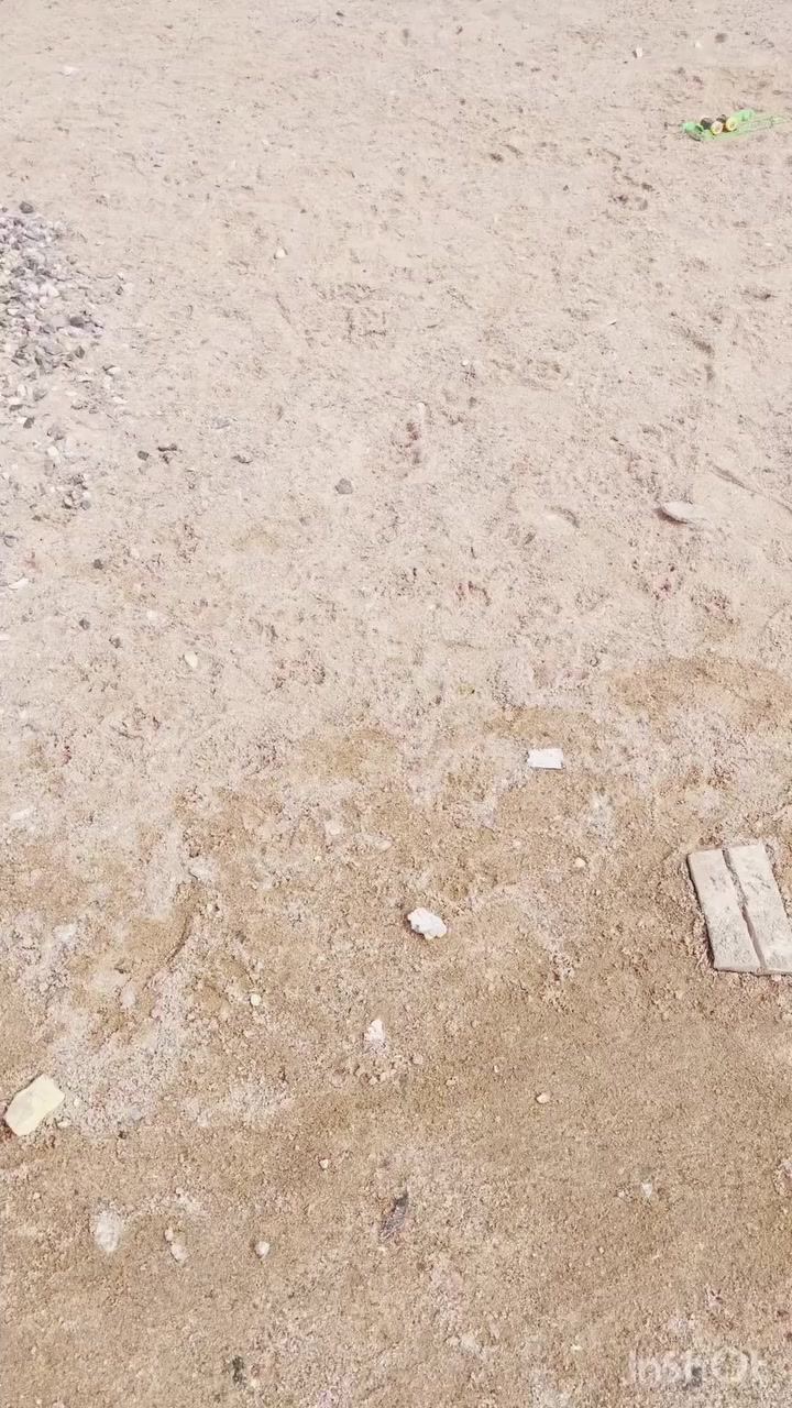 بيت هيكل للبيع في صالحيه مساحه ٢٠٠م واجهه ١٠م نزال ٢٠م 
للاستفسار ***********
لنشر وتوصيل جميع عروض البيع واسعارنا رمزيه
