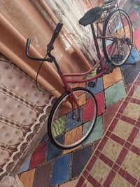 باسكل • حجم 28 • مصبوغ
