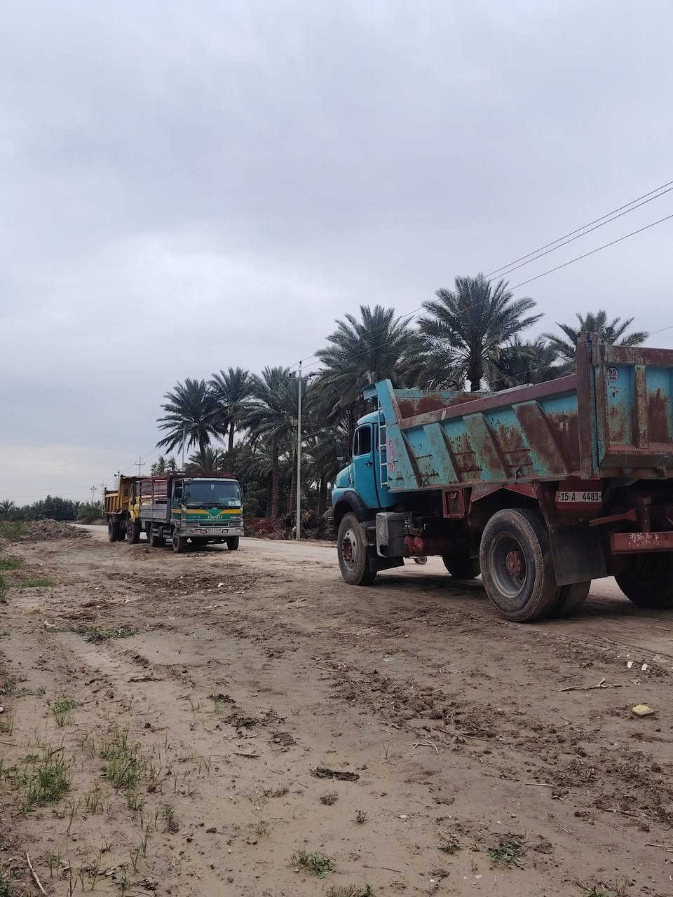 سلام عليكم قجم للبيع ٨٠ بلادي ***********
