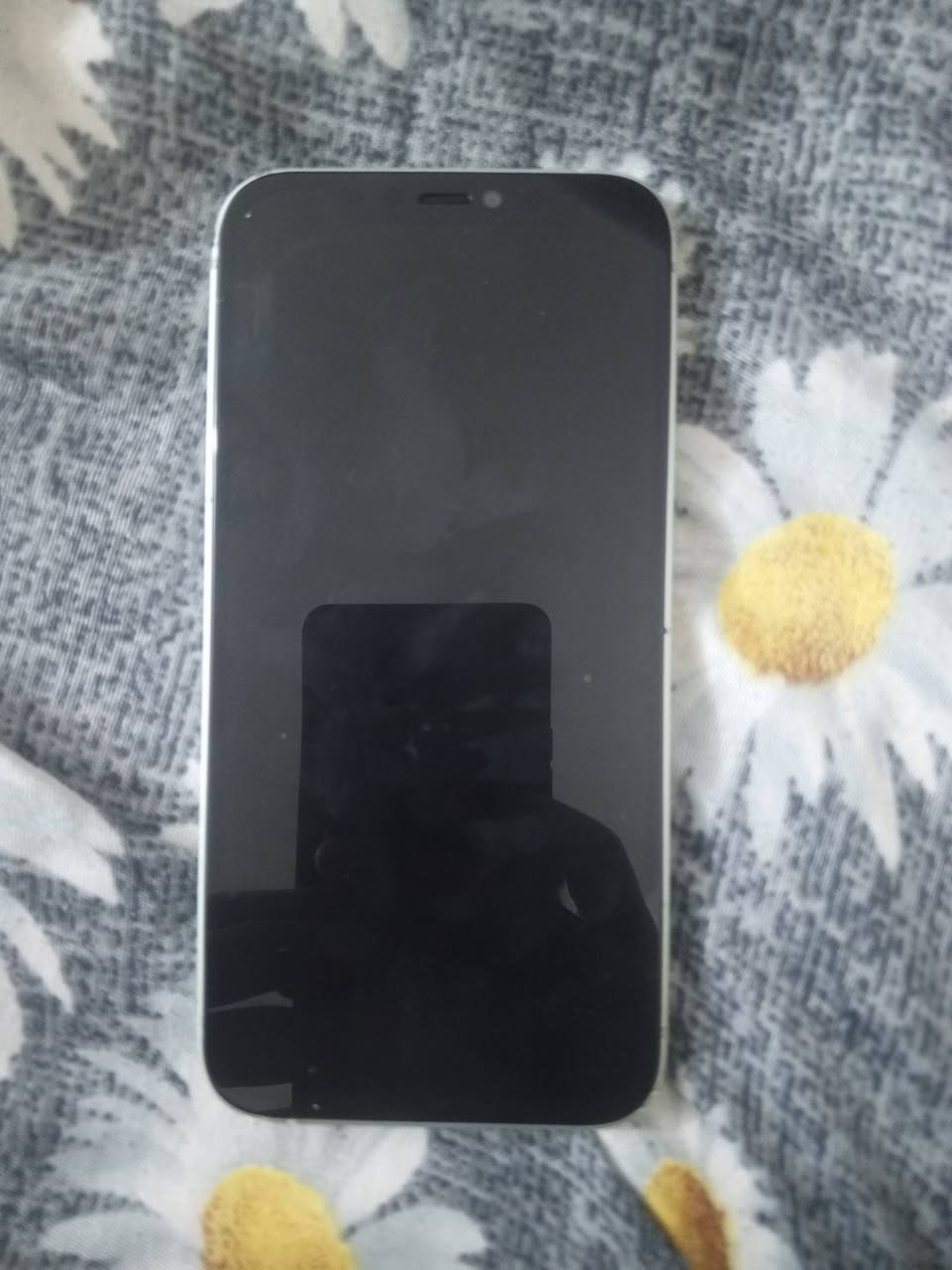 ايفون 12 عادي فطر بل ضهر أو فيس ايدي متوقف مع بطارية 71 بلاديه باقي كله شغال قيم او اخذ


**إذا كنت صاحب هذا الإعلان وتريد حذفه لأي سبب، رجاءا أرسل رسالة إلى الدعم الفني**