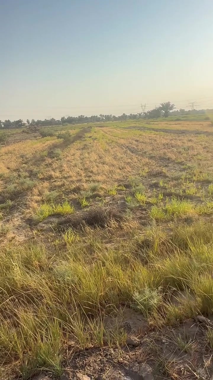 #الديوانية مباشر طريق الزائرين 
جبنالكم دونم مجكلم يخبل 
للاتصال ‭***********‬
