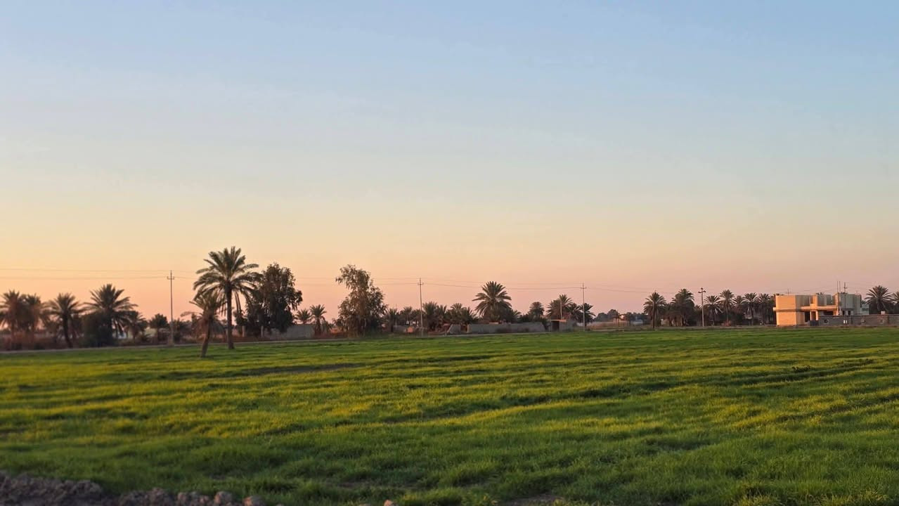 الدونم بلاش سعر الدونم 8وبي مجال طابو زراعي سند 25 حق التصرف المساحة 50 دونم 
تاخذ 2500 صافي ماتدفع فلوس حين تروح لتسجيل العقاري تفتح بيان خدمات خير من الله كهرباء وماء سقي وماء اسالة موقع الأرض إلى موضح بالتصوير العنوان التاجي منطقة الشيخ عامر العيساويه ثاني يوم فتح بيان للاستفسار ***********
