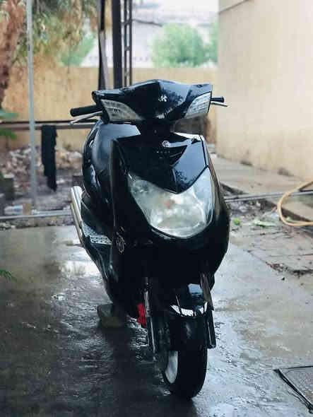 سلام عليكم سكنس فحل للبيع او مراوس بجبلي دراجه كامله اي نقص مابيها صالنصه قطعتين 
بكلايت شفاف اشاير لد 
رقم ***********
بغداد الحسينيه مال راجديه
