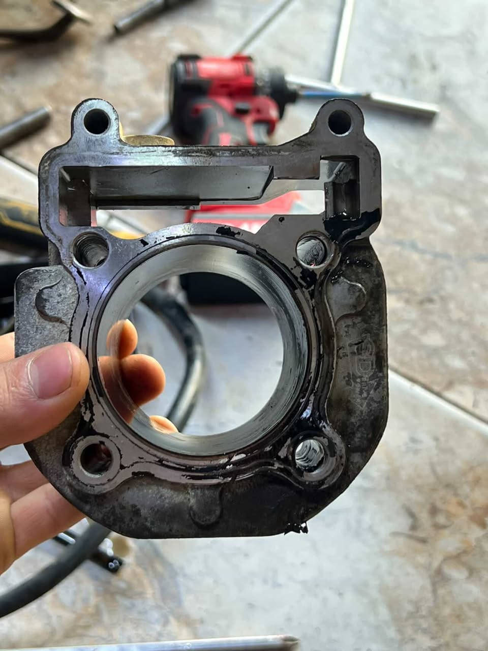 بوشه 63اصليه
كور ولفين  
فكوره ما اريد 
شراي خاص .


**إذا كنت صاحب هذا الإعلان وتريد حذفه لأي سبب، رجاءا أرسل رسالة إلى الدعم الفني**