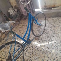 باسكل • ضب زنجيل • يقبل فرق