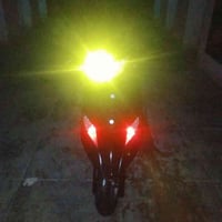 ثعلب للبيع نقص جوزه فقط شغاله نص نكره كهربائيات شلعه معدل فول كفرات اص...