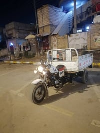 ستوته • مديل 14 • اوراق كامله