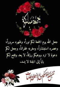 المنطقة الصناعية بابل • ٢٧٣ دونم • واجهة ٢٧٠م