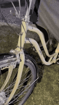 السلام عليكم
بايسكل للبيع حجم 26 ياباني 
البايسكل نضيف حيل شخط ما بي 
كلشي ما يعوزو للبيع او المراوس ب كسريه هوائيه 
نضيفه السعر 100 الخاص مفتوح او الاتصال ***********
