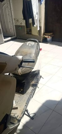 فراشة • تفيلس • تبخير