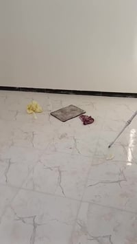 صبغ اوفايت -بلاستيكي ختام  07816059359📞