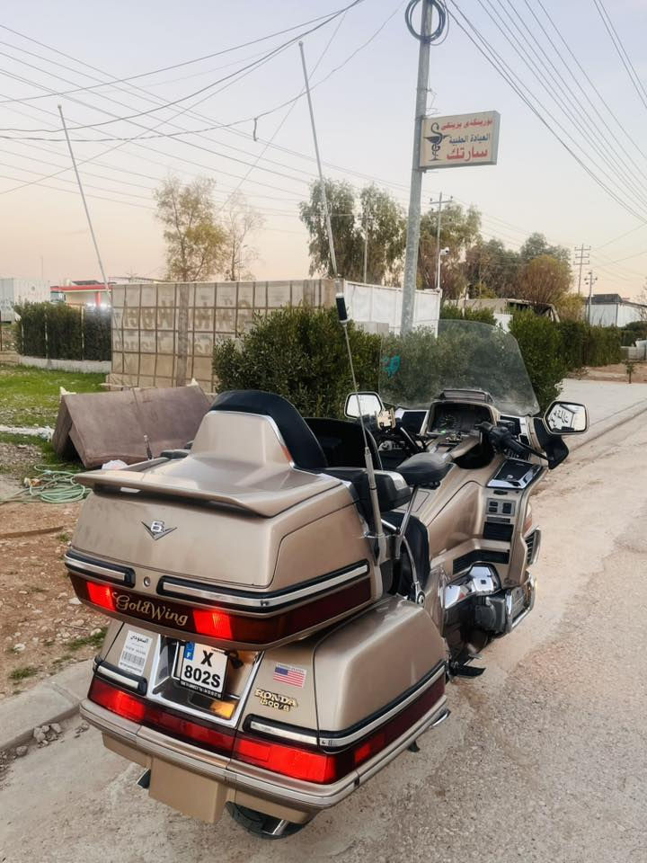 گولدن 1500 كل بشرط واتساب  ***********📞
