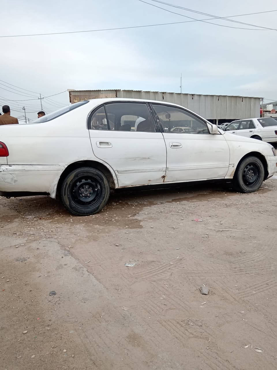 سلام عليكم) كرونا مكفولة من الكصه ونغل جثة وضربه قويه مكينه وكير جدد رقم بغداد مشروع وطنية سنويه 2028 العنوان النجف ناحيته الحيدرية ***********
