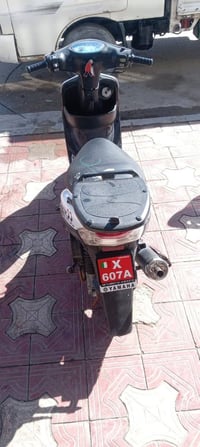 منغولي وكاله 49بلاد 07825931165